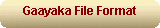 Gaayaka File Format